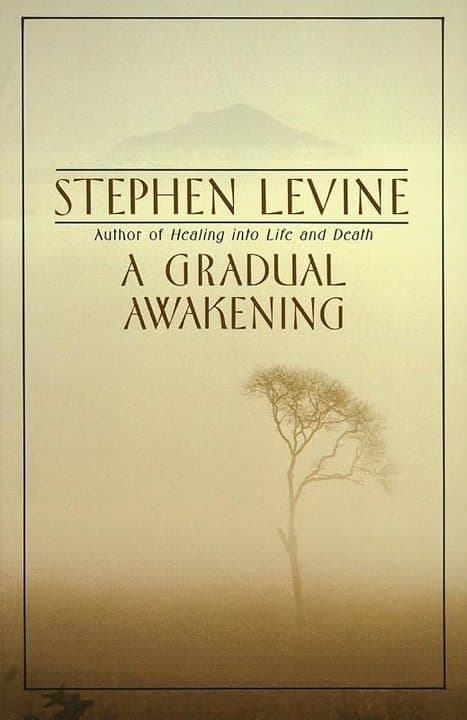 Cover of A Gradual Awakening