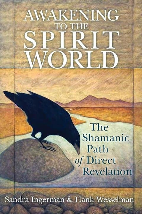 Cover of Awakening to the Spirit World