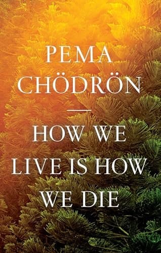 Cover of How We Live Is How We Die